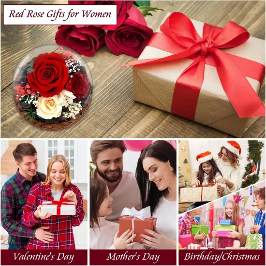 Women Preserved Red Real Rose Flowers in Glass Dome {2}