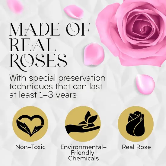 Preserved Roses in a Box 7 Roses, Pink {2}