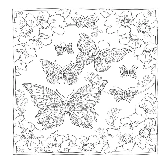 Creative Haven: Butterflies Flights Coloring Book-Softcover {5}