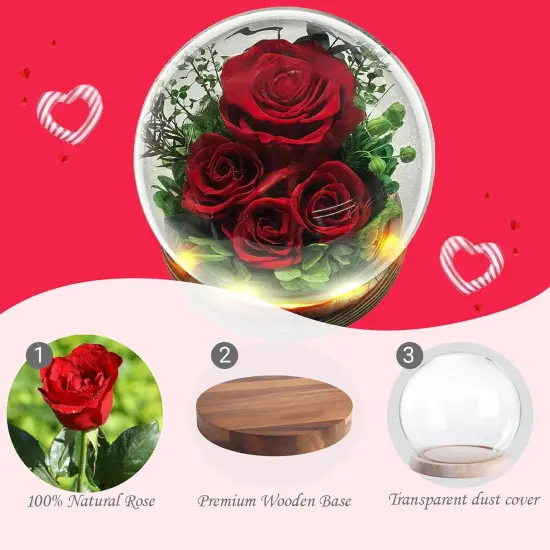 Flowers for Delivery Preserved Rose Gifts for Her {2}