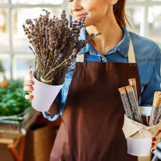 12 Pack Metal Buckets with Handle - WHITE {3}