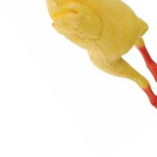 Rubber Chicken W Sound Includes 1 Unit {3}