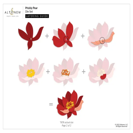 Prickly Pear Die Set {4}