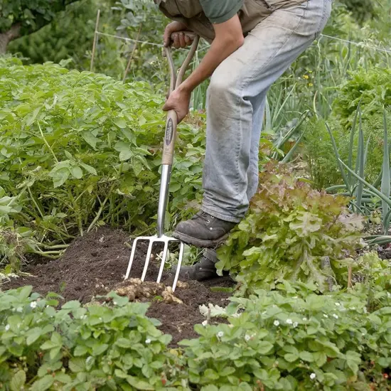 Spear & Jackson Traditional Stainless Steel Digging Fork, Heavy Duty Durable Stainless Steel Garden Tool, Ideal for Digging, Aerating, and Turning Soil {5}