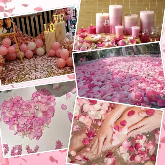 240 PCS Real Pink White Rose Flower Petals Confetti for Wedding Flower Girl {4}