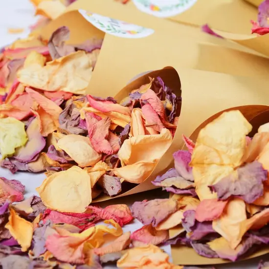 20+ Cups Real Rose Petals Biodegradable Wedding Flower Confetti, 2 QT Mixed Yellow Purple Pink Dried Roses Petals for Wedding {5}