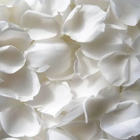 REAL Rose Petals, Pearl White Freeze-Dried Petals Biodegradabel Wedding Natural Confetti, Perfectly Preserved Flower Petals {1}