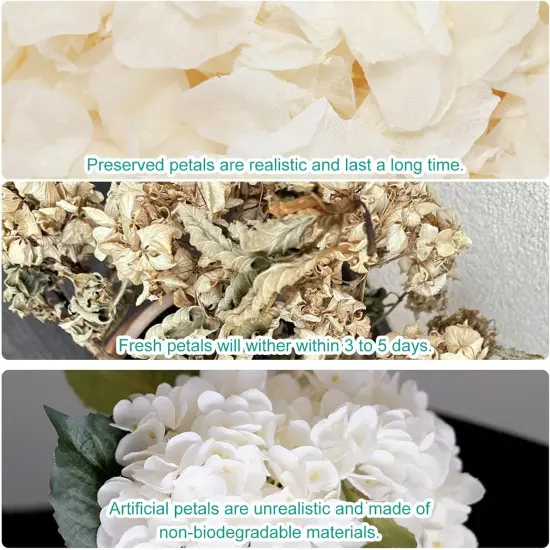 Dried Real Hydrangea Petals, Natural Preserved Dry Flower Petals for Wedding Party Dinner Table Decor {4}