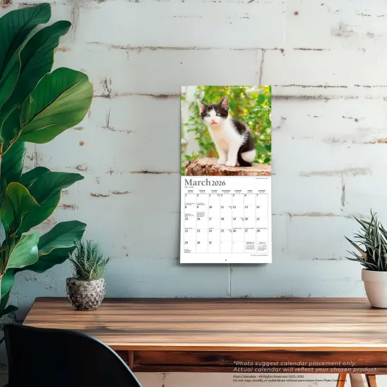 For the Love of Kittens | 2026 7 x 14 Inch (Hanging) Monthly Mini Wall Calendar | Foil Stamped Cover {5}