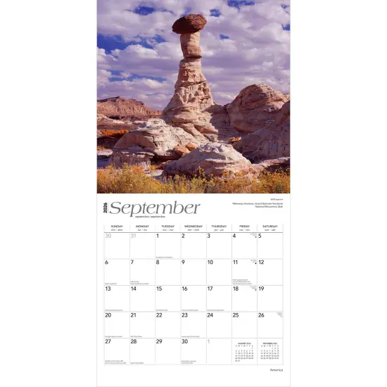 America | 2026 12 x 24 Inch (Hanging) Monthly Square Wall Calendar | Foil Stamped Cover | Plastic-Free {4}