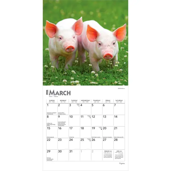 Piglets | 2026 7 x 14 Inch (Hanging) Monthly Mini Wall Calendar {3}