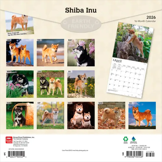 Shiba Inu | 2026 12 x 24 Inch (Hanging) Monthly Square Wall Calendar | Plastic-Free {2}