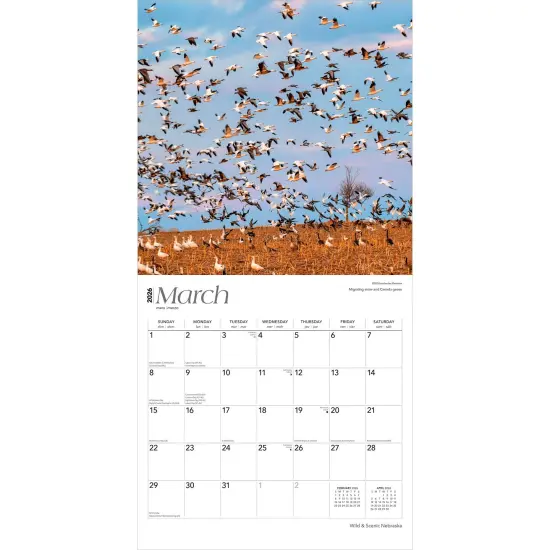 Nebraska Wild & Scenic | 2026 12 x 24 Inch (Hanging) Monthly Square Wall Calendar | Plastic-Free {3}