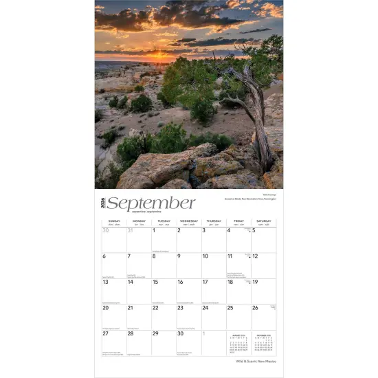 New Mexico Wild & Scenic | 2026 12 x 24 Inch (Hanging) Monthly Square Wall Calendar | Plastic-Free {4}