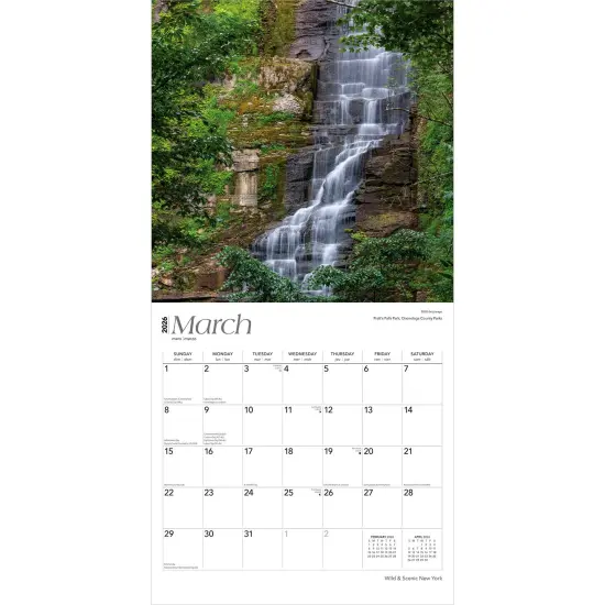 New York Wild & Scenic | 2026 12 x 24 Inch (Hanging) Monthly Square Wall Calendar | Plastic-Free {3}