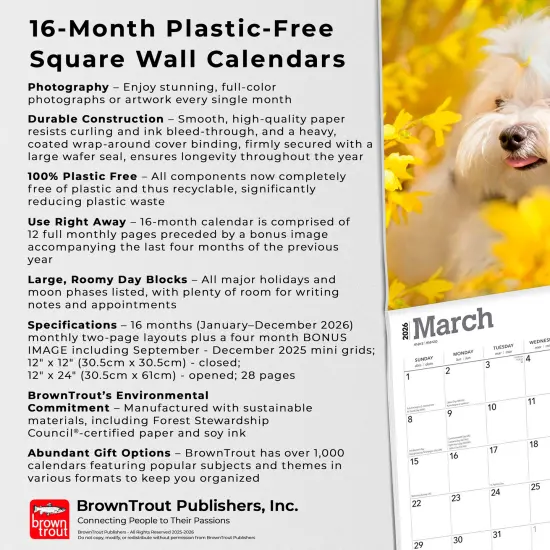 Maltese | 2026 12 x 24 Inch (Hanging) Monthly Square Wall Calendar | Plastic-Free {6}