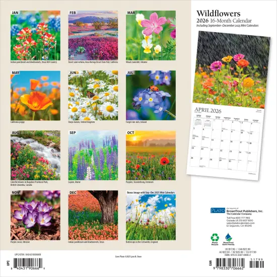 Wildflowers | 2026 12 x 24 Inch (Hanging) Monthly Square Wall Calendar | Foil Stamped Cover {2}