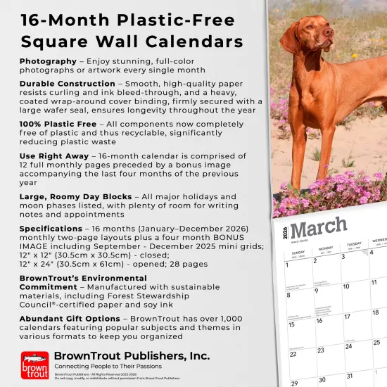 Vizslas | 2026 12 x 24 Inch (Hanging) Monthly Square Wall Calendar | Plastic-Free {6}