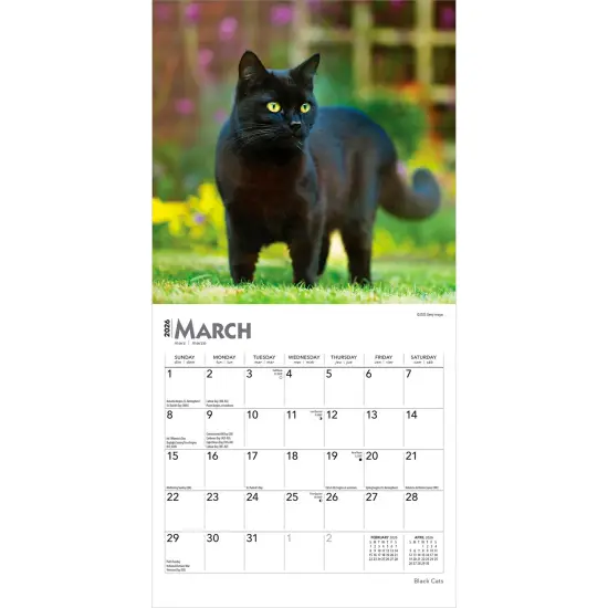 Black Cats | 2026 7 x 14 Inch (Hanging) Monthly Mini Wall Calendar {3}