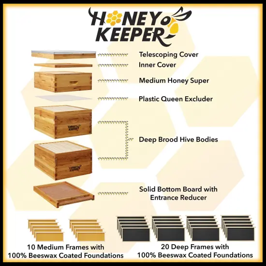 Honey Keeper Beehive 10 Frame Complete Box Kit Coated in 100% Beeswax (Waxed Boxes, 2 Deep and 1 Medium) with Wooden Frames and Waxed Foundations for Langstroth Beekeeping {2}