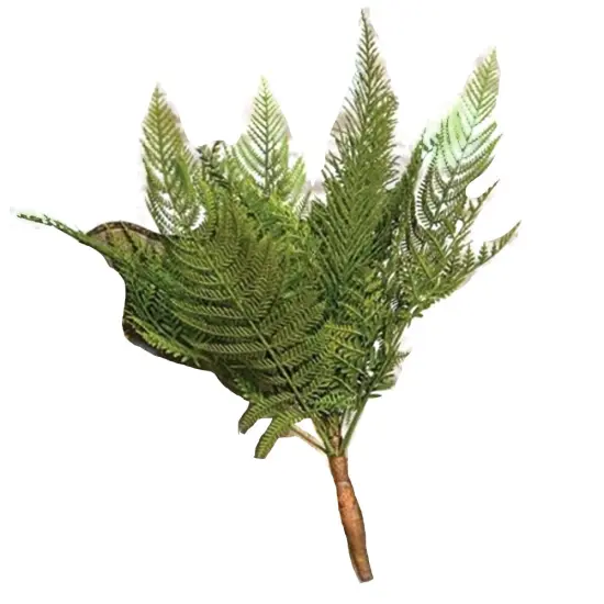 16" Green Plastic Deer Fern Bush Perfect for Decorative Plant Shelves or Tabletops {1}