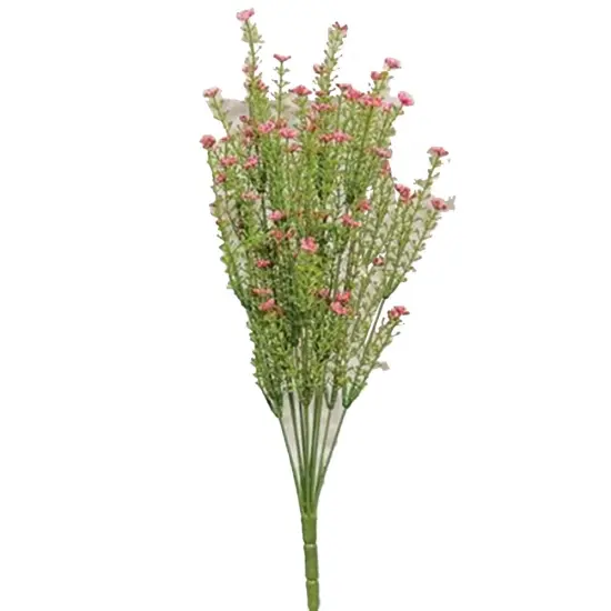 Pink Astilbe Bush, 20" {1}