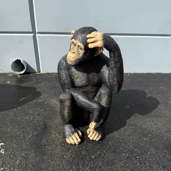 Monkey Chimpanzee Sitting Life Size Statue {4}