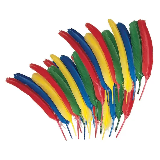 Quill Feathers, Assorted Colors, 12", 24 Pieces {1}