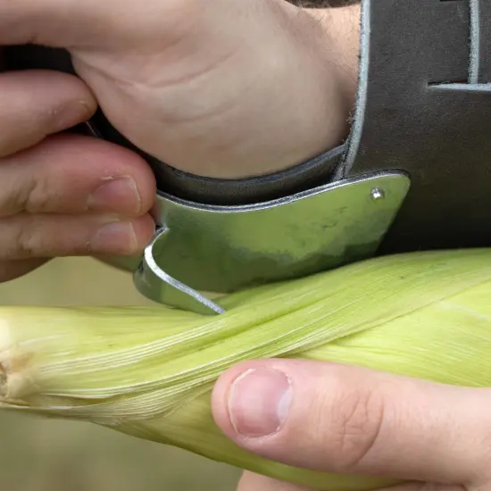 Palm Hand-Held Corn Husking Tool Single Hook Comfortable Fit 5.5" {6}