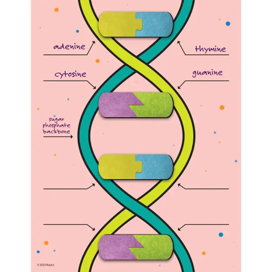DNA Builder, 9 Pieces {1}
