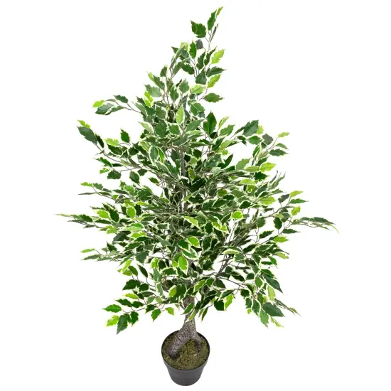 Northlight Artificial Variegated Ficus Leaf Potted Plant - 47" Green {5}