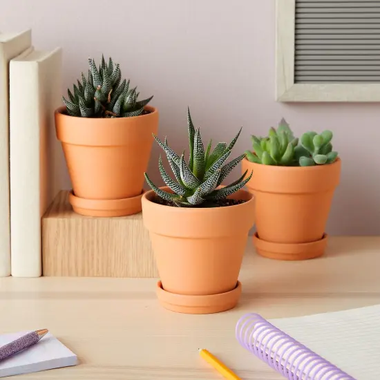 Juvale 4-inch 6 Pack Small Terracotta Pots with Saucer and Drainage Hole - Clay Planter for Indoor and Outdoor Succulents, Flowers and Plants {4}