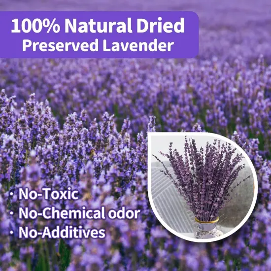 Dried Purple Lavender Flowers Bundle-Dried Preserved Lavender Bouquet 15-17" for Shower Weeding Home Vase Decor, Crafts, Aromatherapy, Fragrance, Fresh Silk Dry Live Plants, 50g(1.76oz) {2}