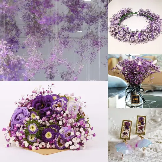 Dried-Flowers-Babys-Breath-Bouquet-17.2 inch 2500+ Flowers, Natural Gypsophila Branches for Home Decor, Wedding, Table Decor, DIY Wreath Floral, Dry Flowers Bulk for Vase (Purple) {3}