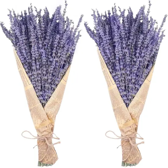 Dried Lavender Bundles, Natural Dried Lavender Flowers 280-300 Stems 16&ldquo; for Home Weeding Decoration Flower Arrangements Home Fragrance 2 Bundles {1}