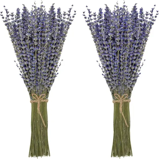 Dried Lavender Bundles 100 Natural Dried Lavender Flowers for Home Decoration, Photo Props, Home Fragrance, 2 Bundles Pack {1}