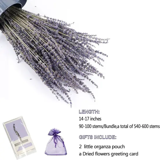 Natural Dried Lavender Flowers Bouquet Bundles with Stems 6 Pack -Christmas Day Valentine's Day Gifts Home Fragrance Decoration {3}