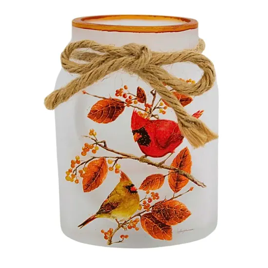 Stony Creek 4.5 Inch Cardinal W/ Aspen Jar W/ Rope Thanksgiving Lighted Glass Accent , Thanksgiving Decor Glass Birds Fall Lighted Clear {3}