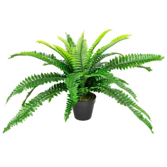 Northlight Potted Artificial Tall Green Boston Fern Plant - 17.5" {6}