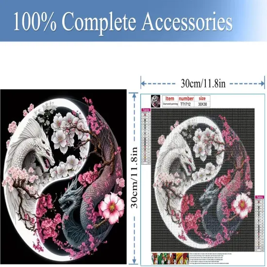 Dragon Diamond Painting Kits-Taichi Dragon Diamond Painting Kits for Adults,5D DIY Full Drill Dragon Diamond Art for Home Wall Decor 12x12inch {3}