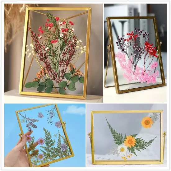 Dried Pressed Leaf Flowers-Multiple Colorful Pressed Flowers Daisies for Craft Resin Jewelry Making Art Craft DIY（Violet） {3}