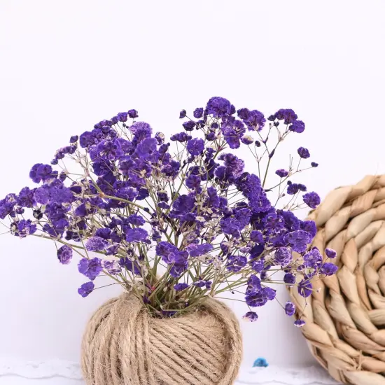 Purple 70 Branches Pressed Flowers Bulk Dried Flower for Resin , Dried Babys Breath Flower with 2 Tweezer {5}