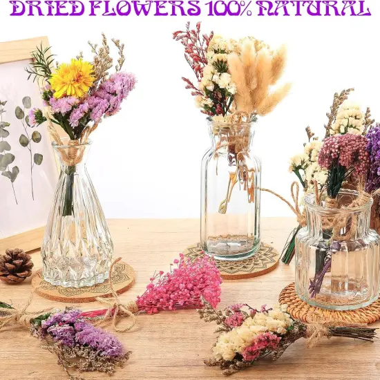 10 Pack Plus Size Dried Flower Bouquets Various Natural Dried Flower Combinations with Stem Dried Embossing Flower Bundles Dry Floral Arrangement for Vase, Carfts, DIY, Wedding, Home Decor (Plus) {2}