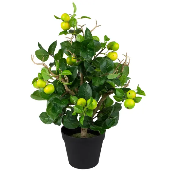 Northlight Bonsai Style Artificial Mini Apple Tree in Pot - 23" Green {6}