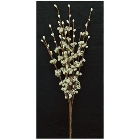 Cream Foam Curly Q Pick and 12 inches Floral Stem with Ivory Pips for Decor {1}