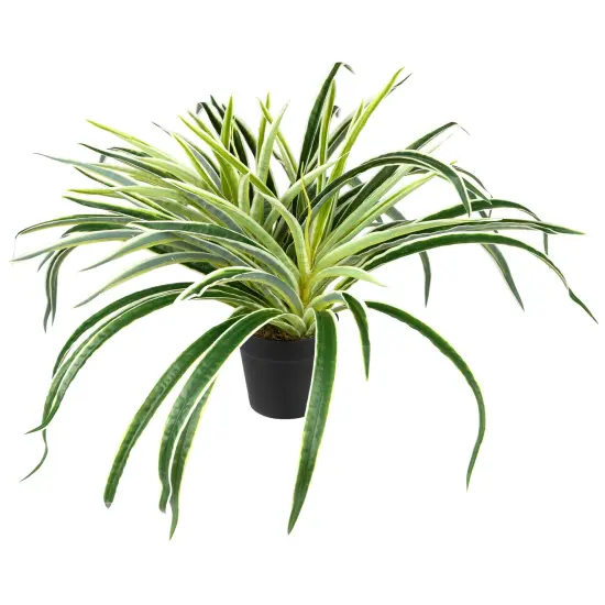 Northlight Artificial Two Toned Potted Spider Plant - 13" Green {4}