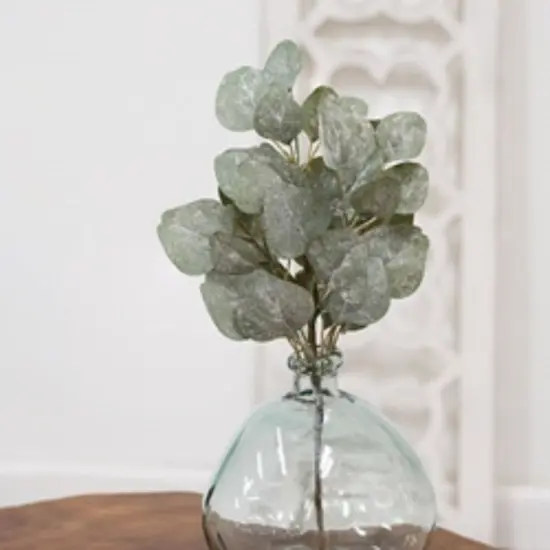 Frosted Dollar Eucalyptus Leaf Spray 19" {2}