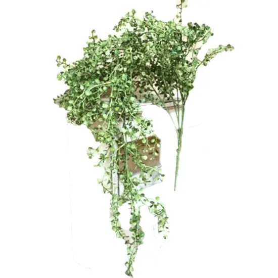 Hanging Pepper Grass Bush Perfect for Both Indoor and Outdoor Decor {1}