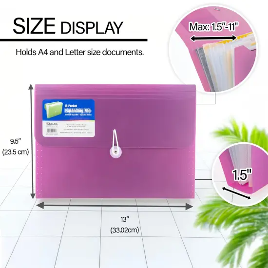 BAZIC Expanding File A4/Letter Size Poly 13-Pocket Morandi Edition {2}