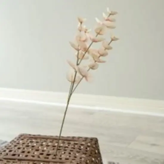 Blushing Eucalyptus Spray {2}